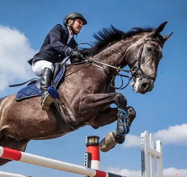 The top 10 heroes of horse riding in the world