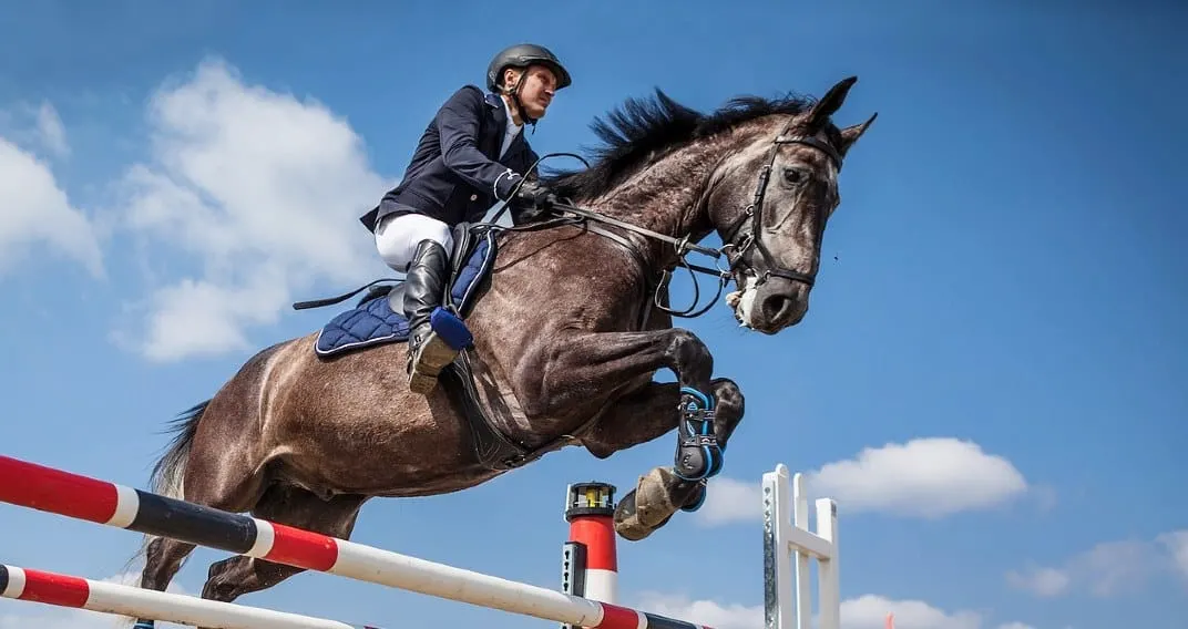 The top 10 heroes of horse riding in the world